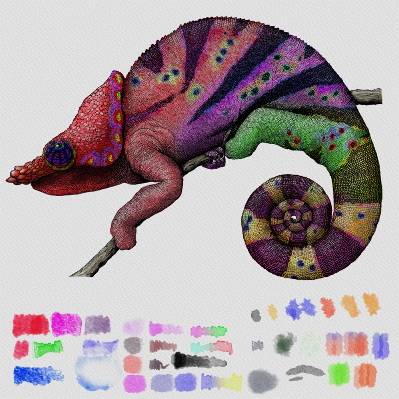 Colorful Cameleon #3