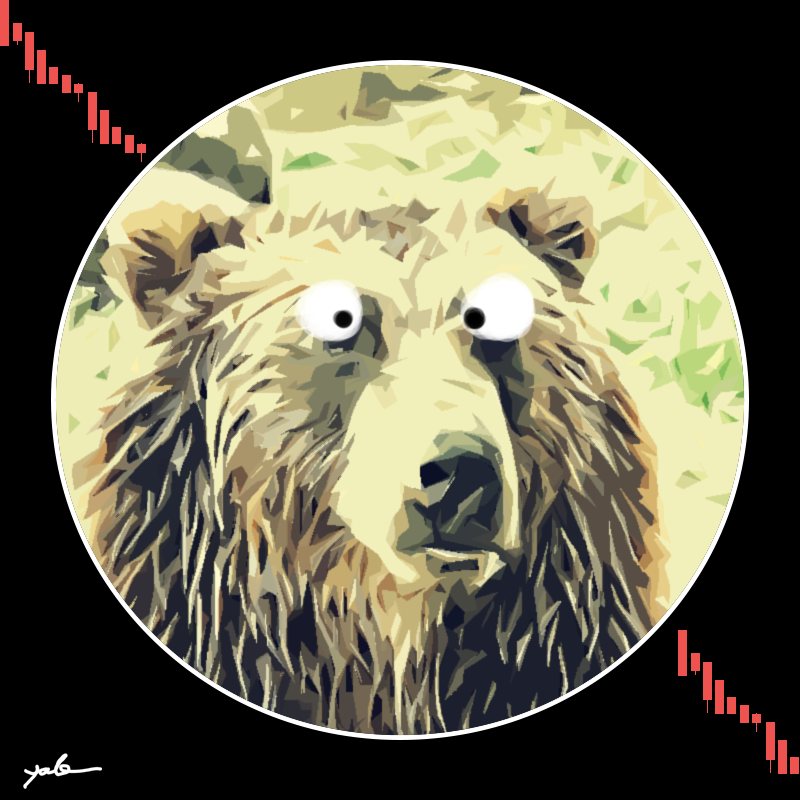 Bears VS Bulls #3