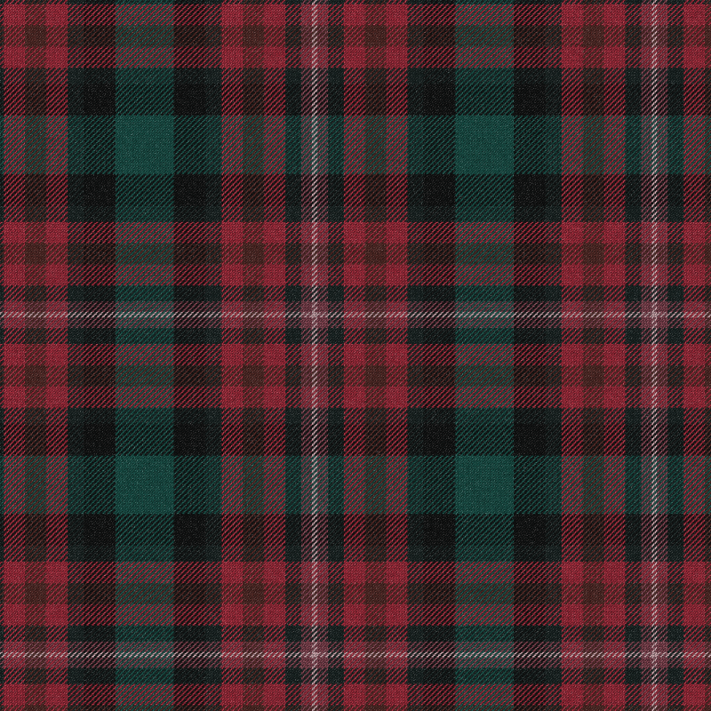 Tartan Cloth #26