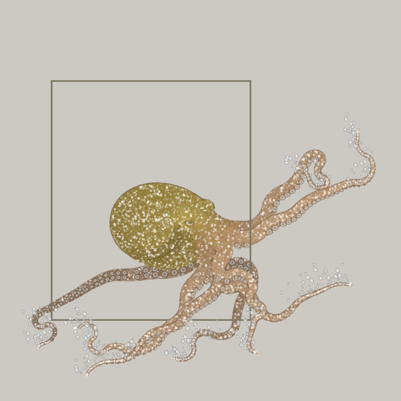 the generative octopuses #39