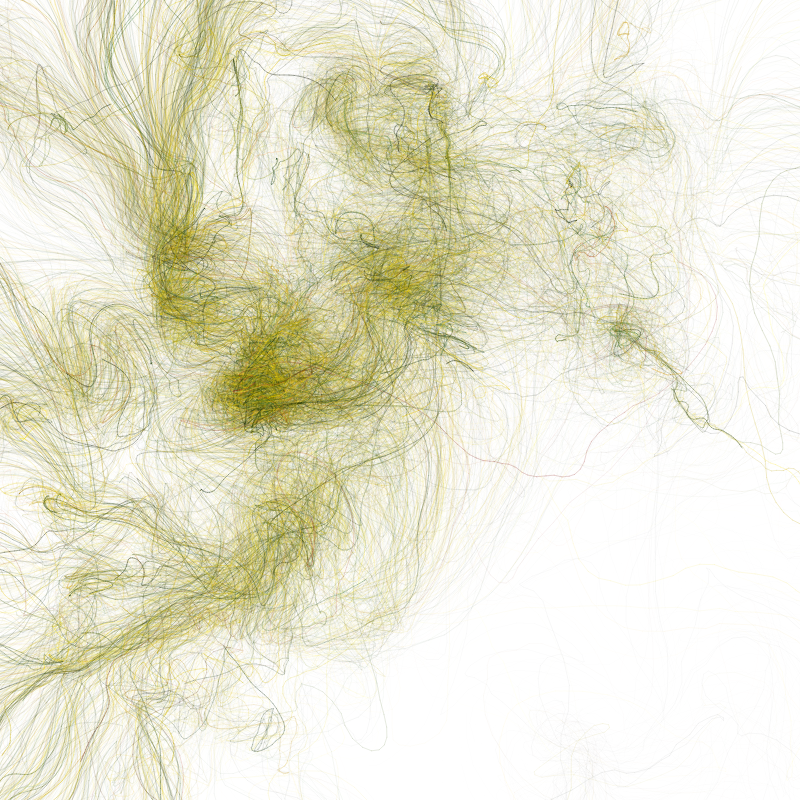 Hypericum #26