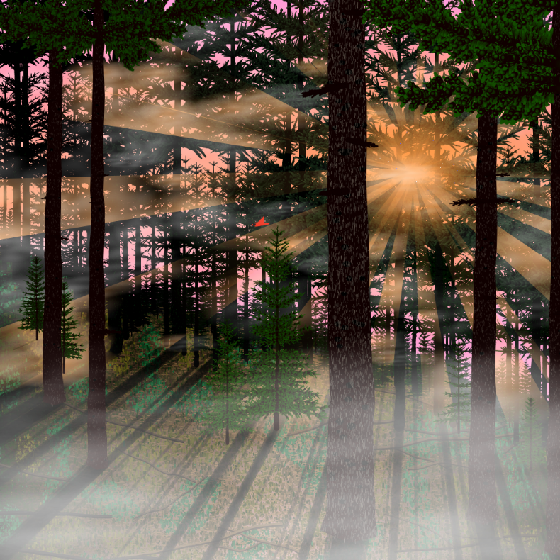 Forest Sunrise #13