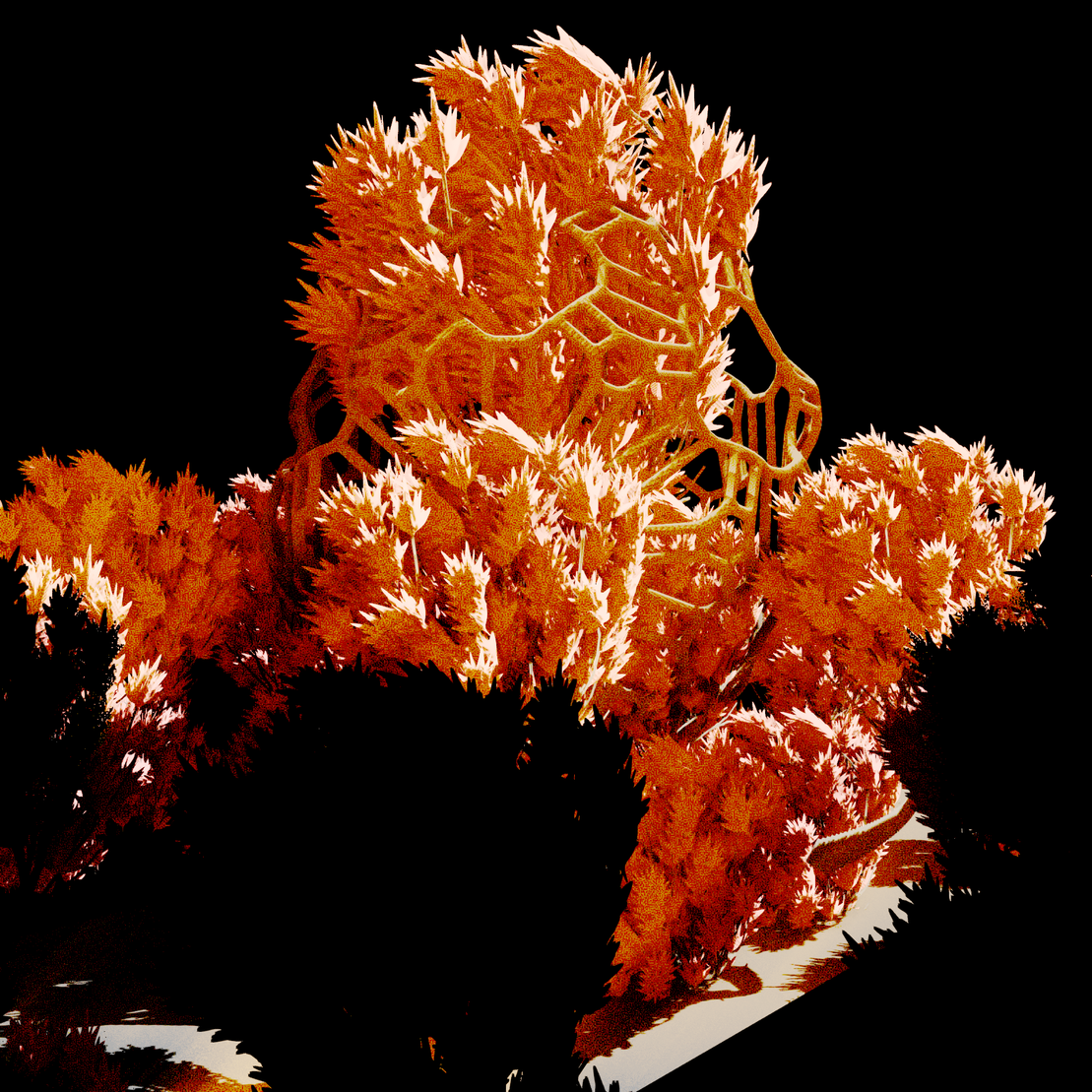 Urban Flora #19