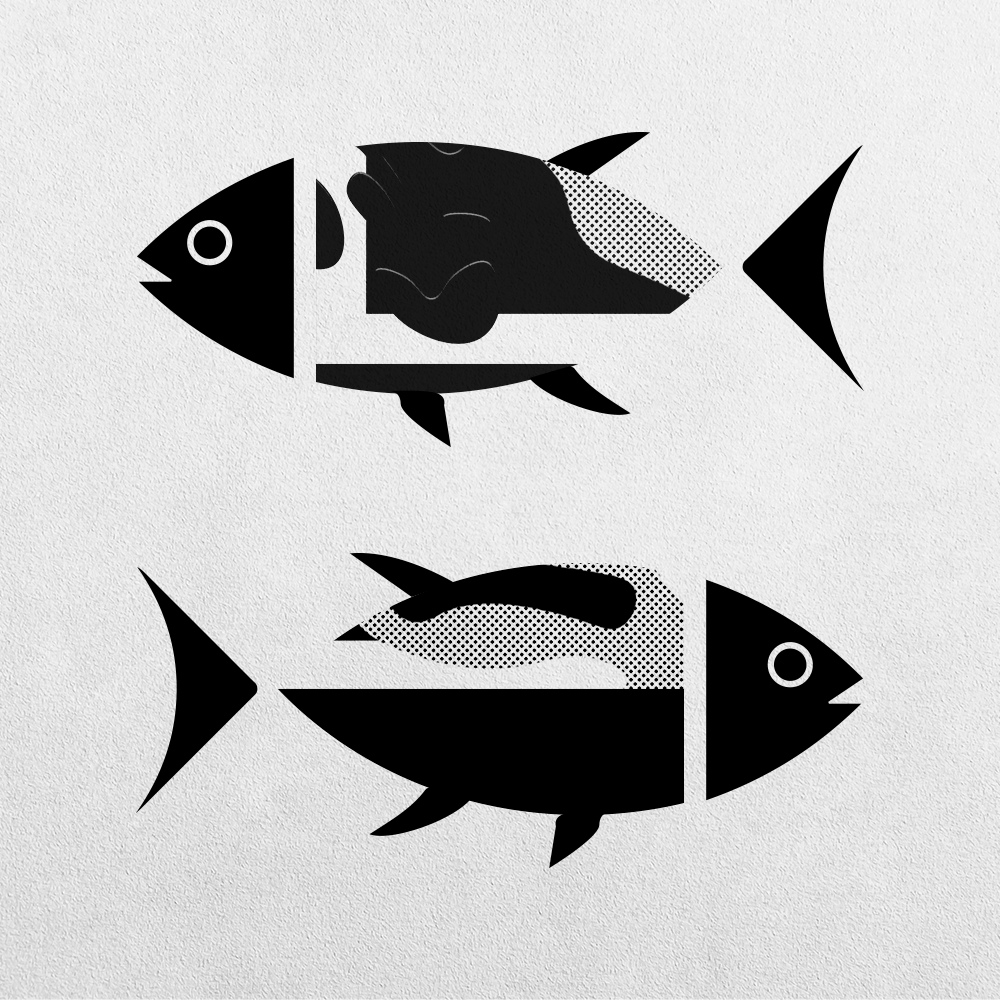 Fish Abstraction #21