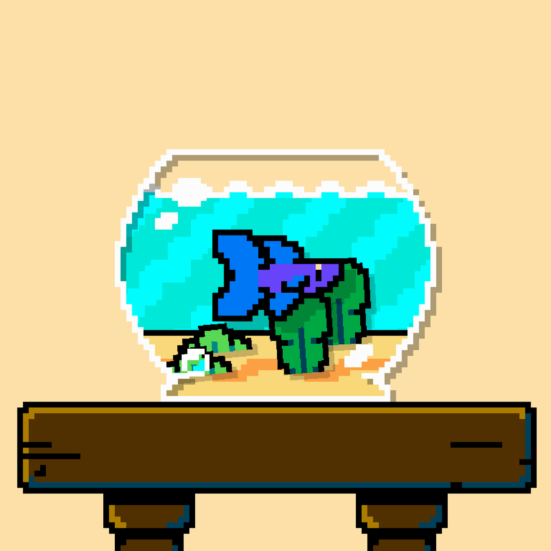 betta fish #142