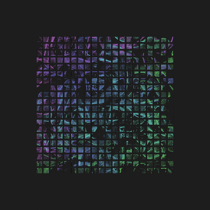 Insula #126