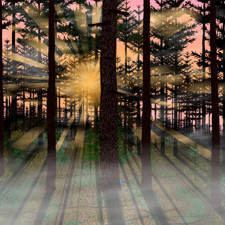 Forest Sunrise #18