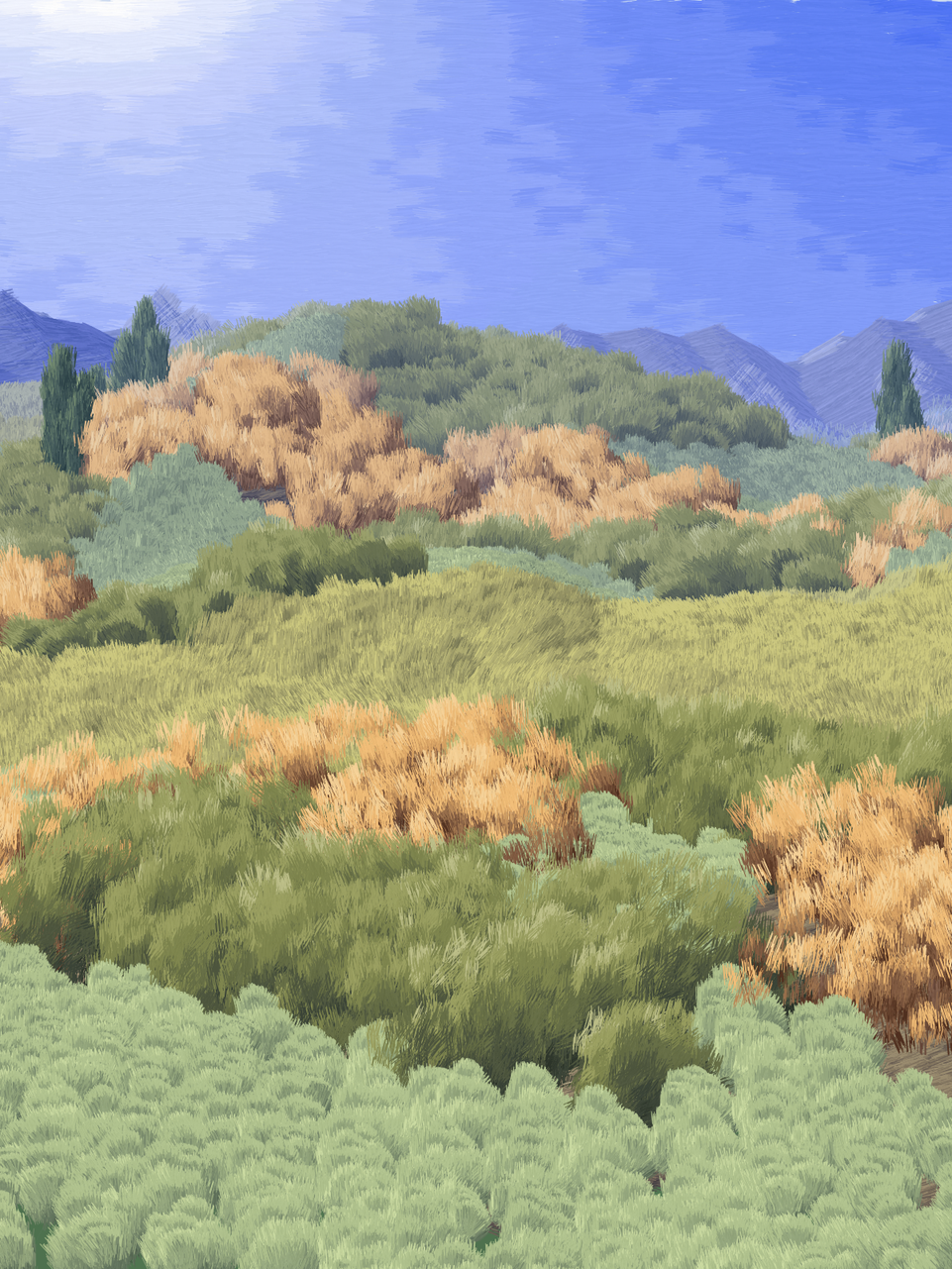 Provence #465