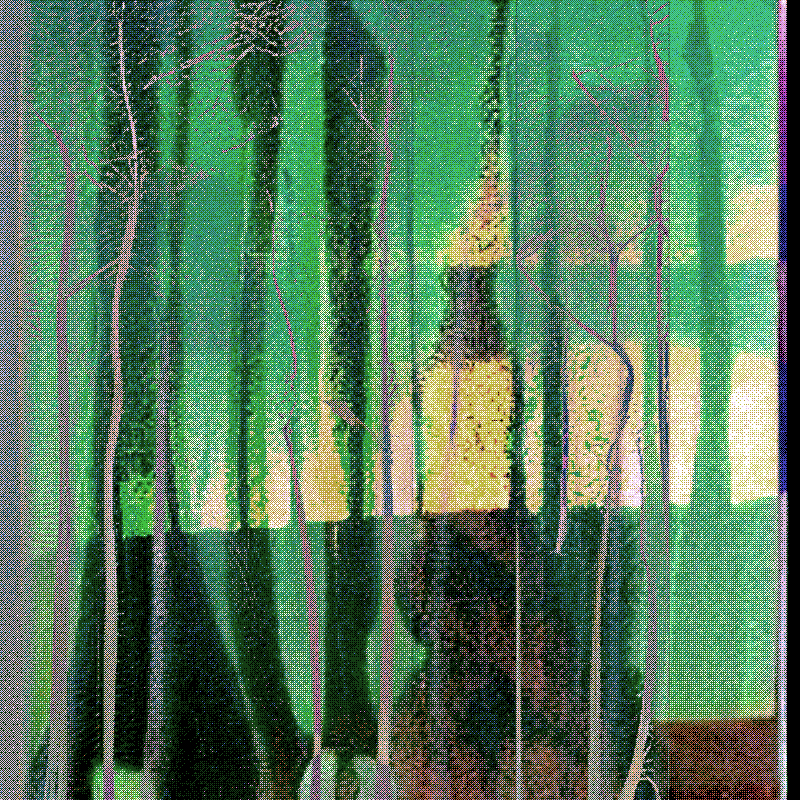 The Hum of Cyber Forest #81