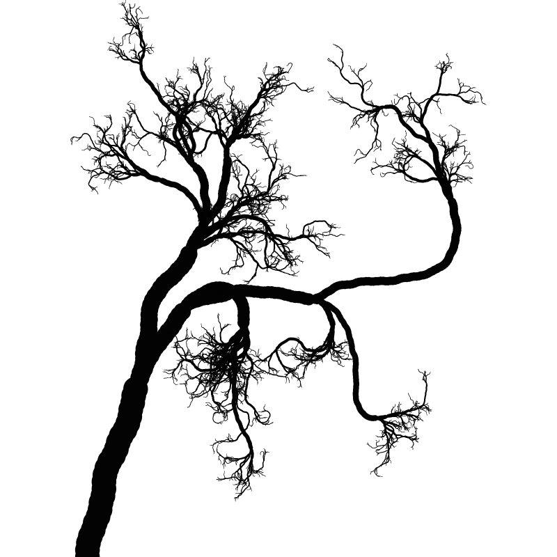 Tree 01 #110