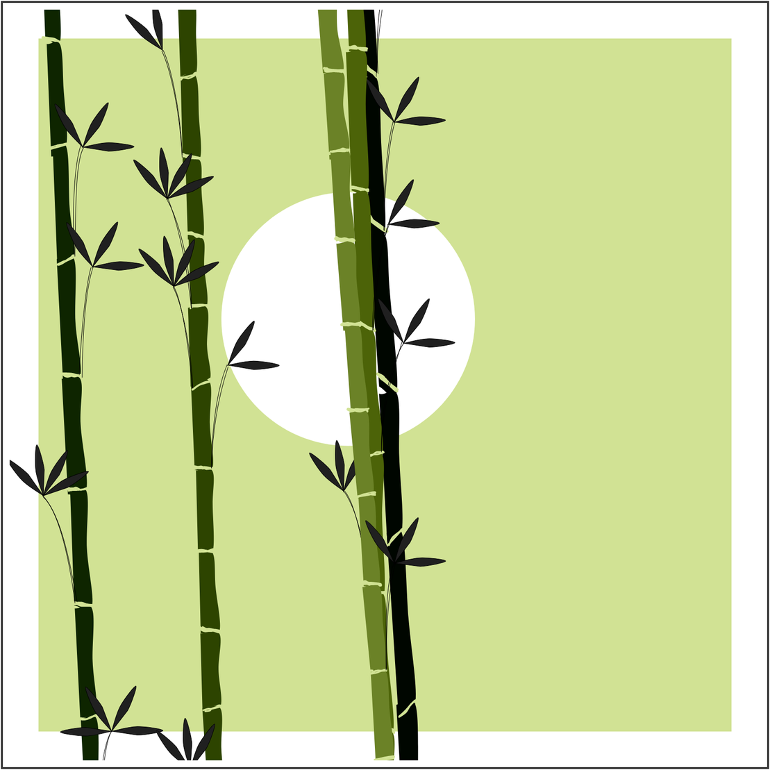 Bamboo and Beyond #20