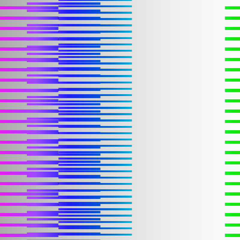 Rizome Lines #4