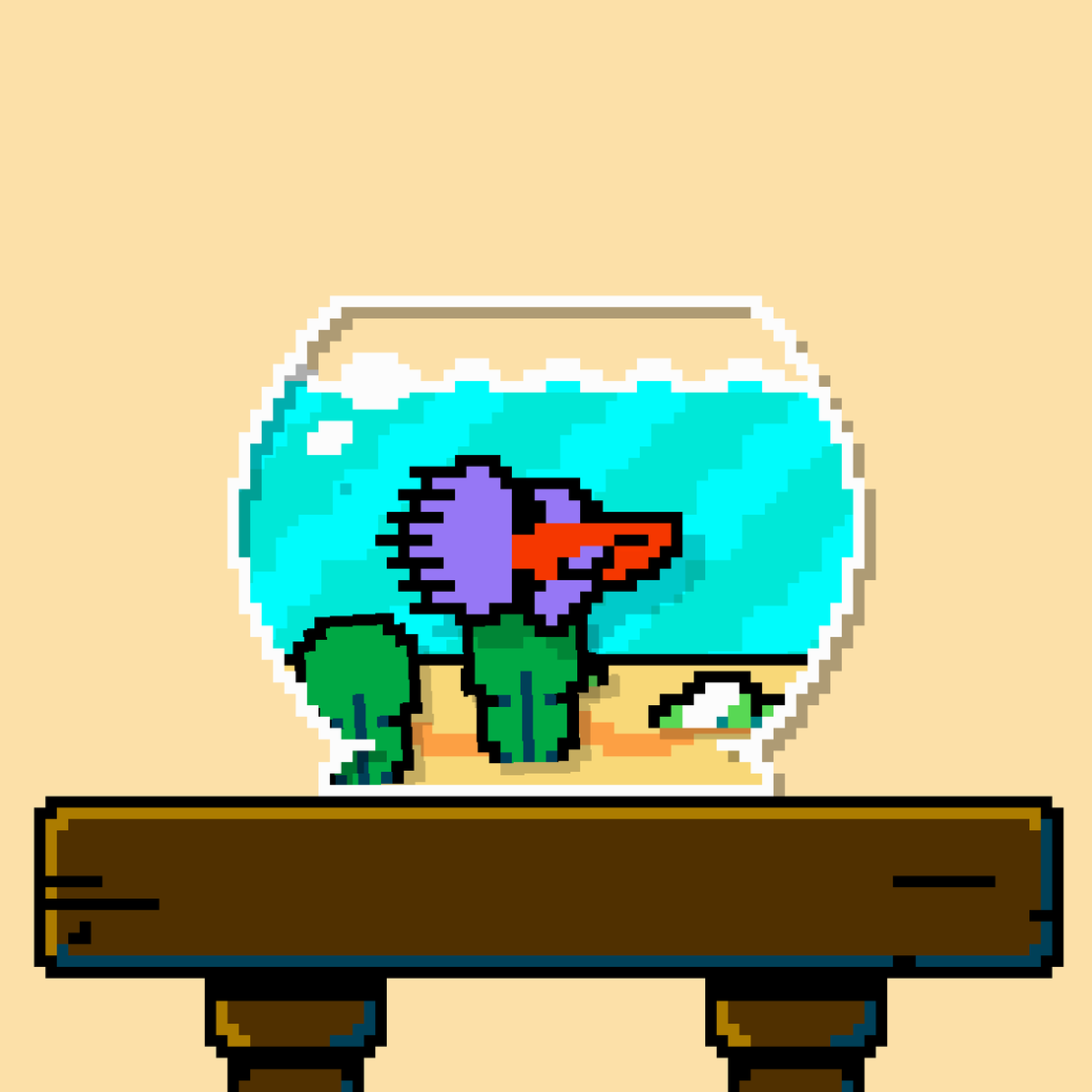 betta fish #666