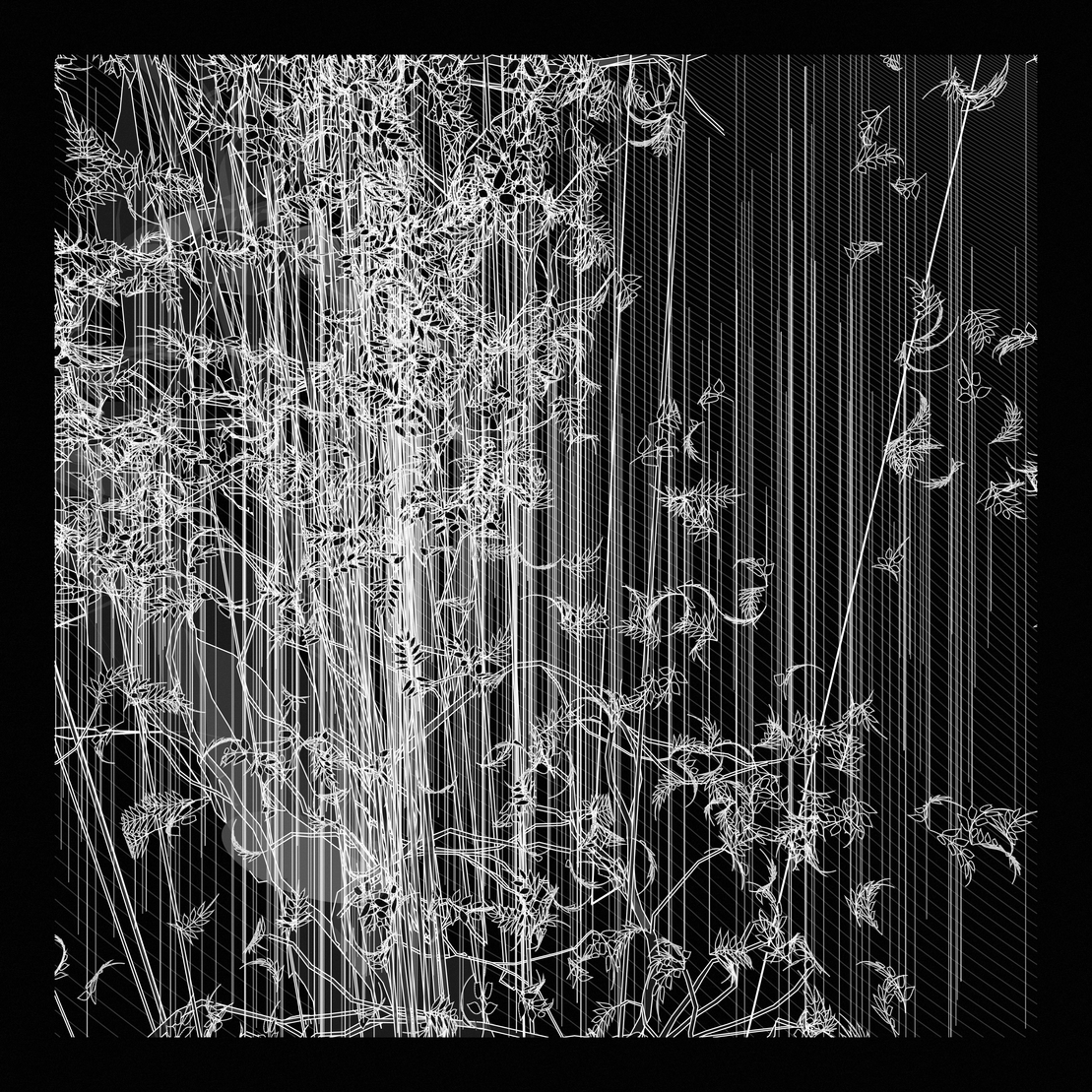 A Bugged Forest #352