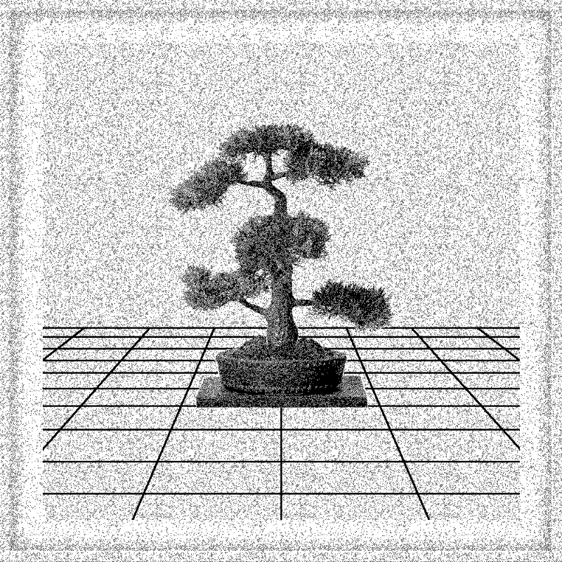 Bonsai Bonanza #229