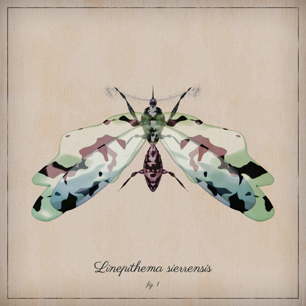 ProcGen Entomology #323