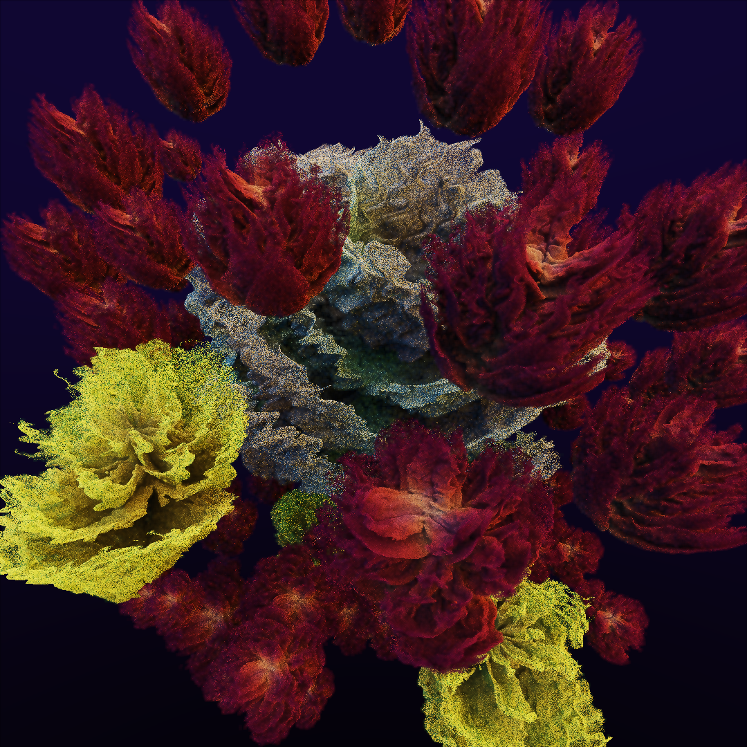 rosarium #92