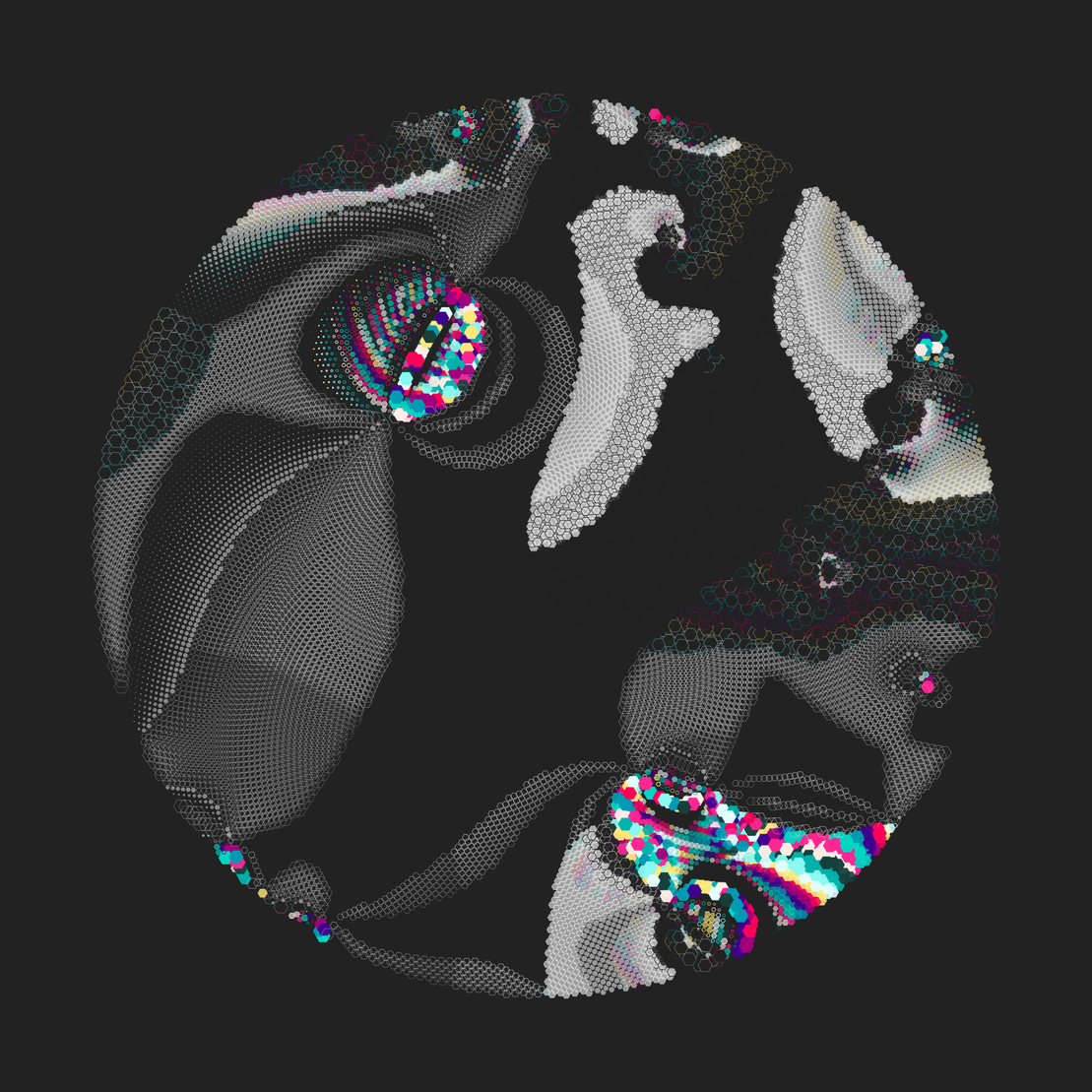Still C #22746
