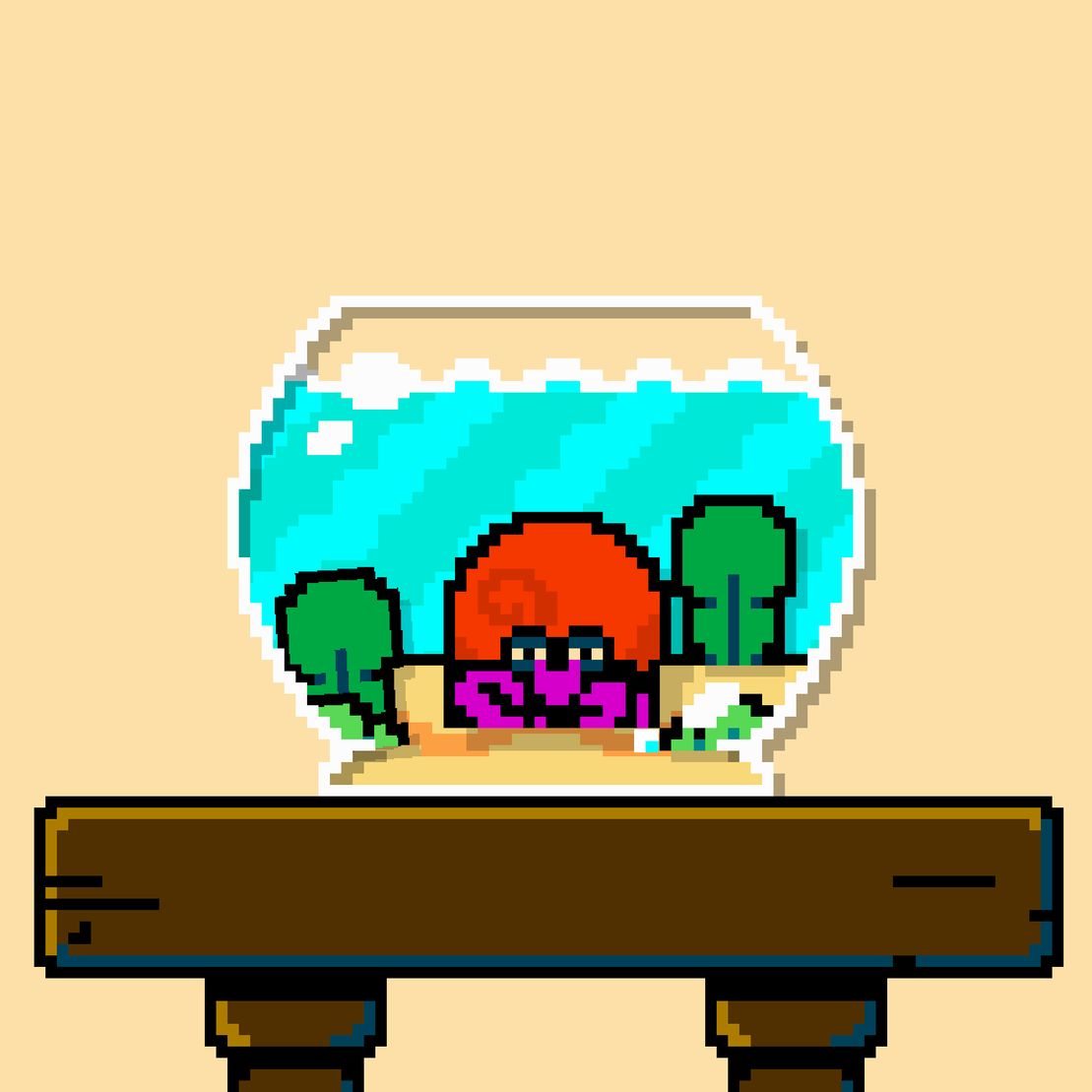 hermit crab #103