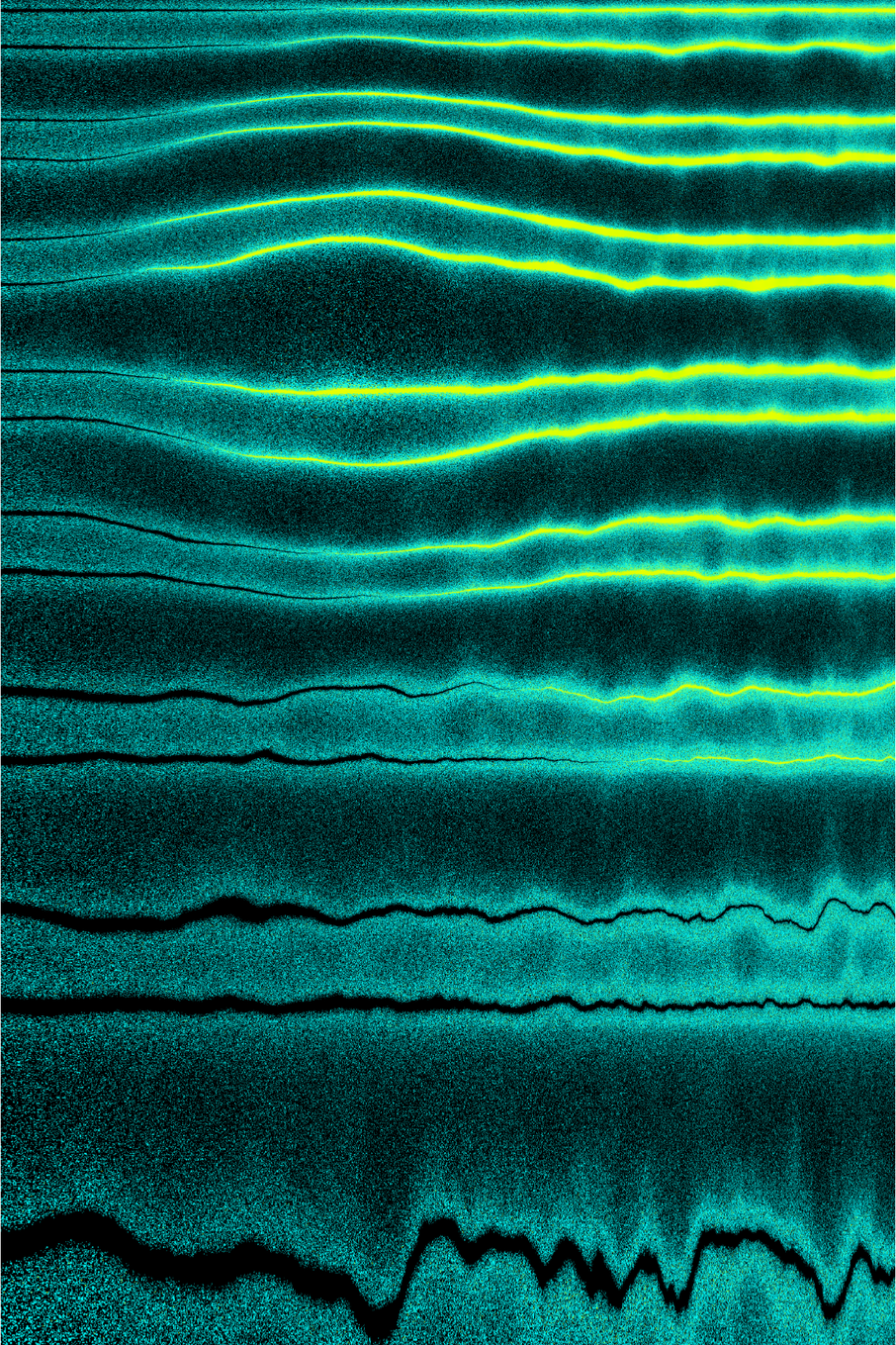 Linear Perturbations #113