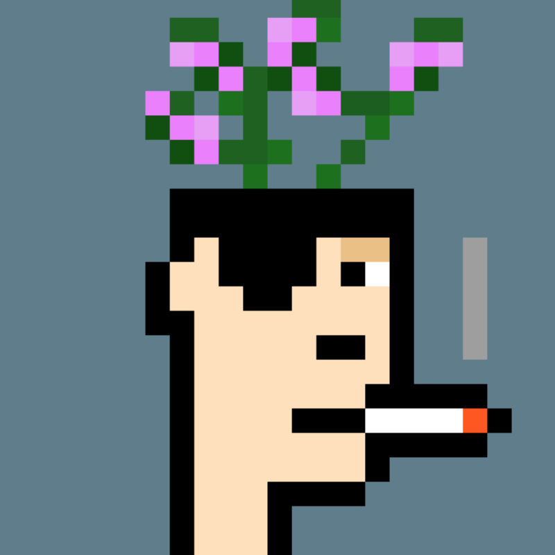 PlantPunks