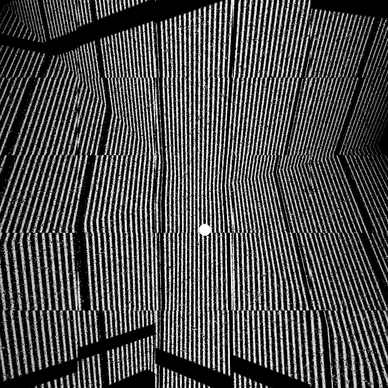 CARBON #24