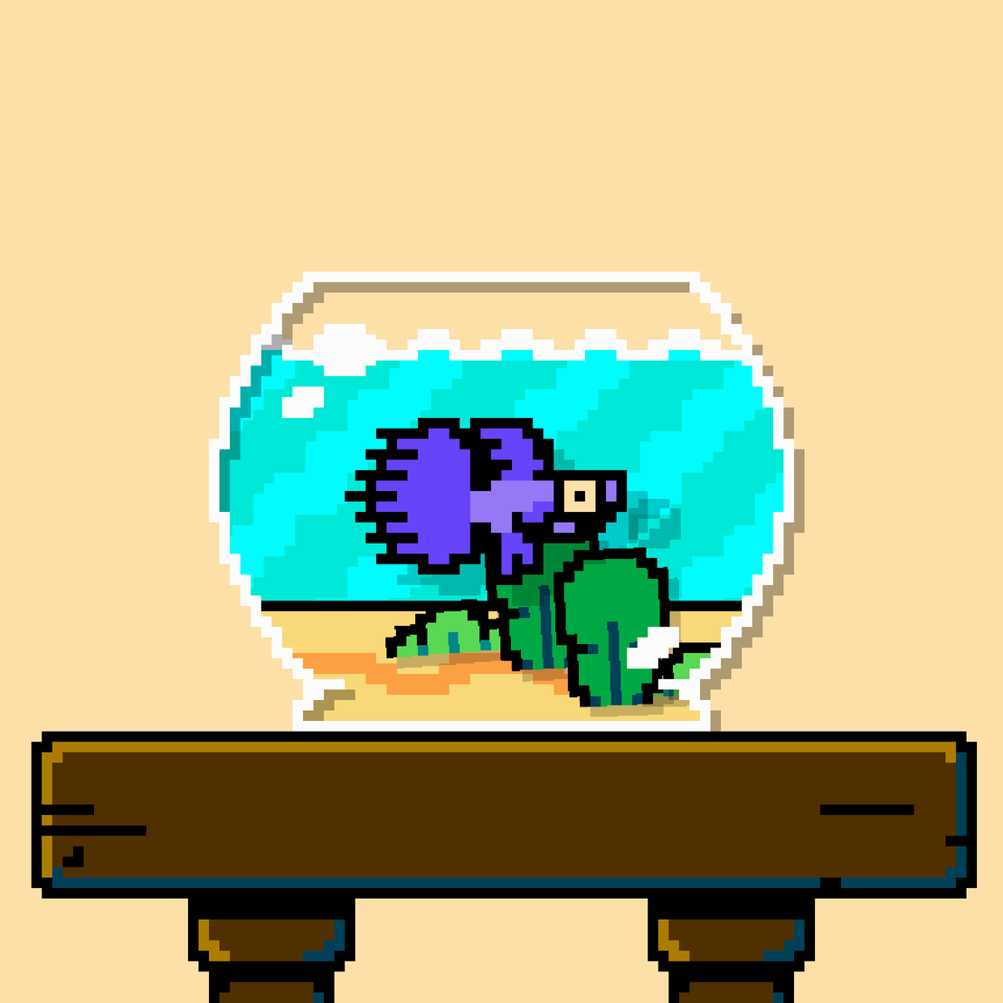 betta fish #17