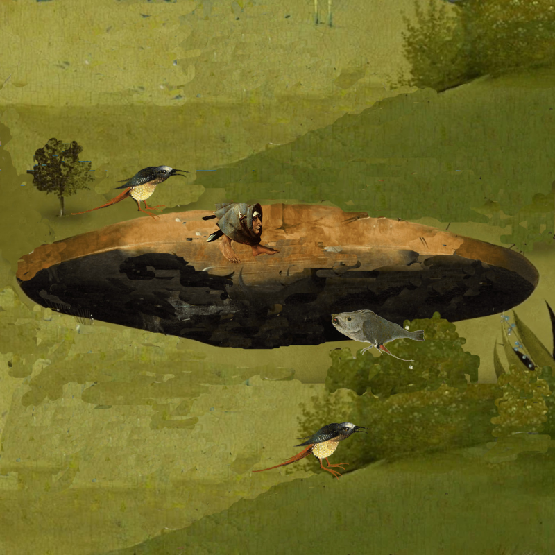 Bosch`s Creatures #62