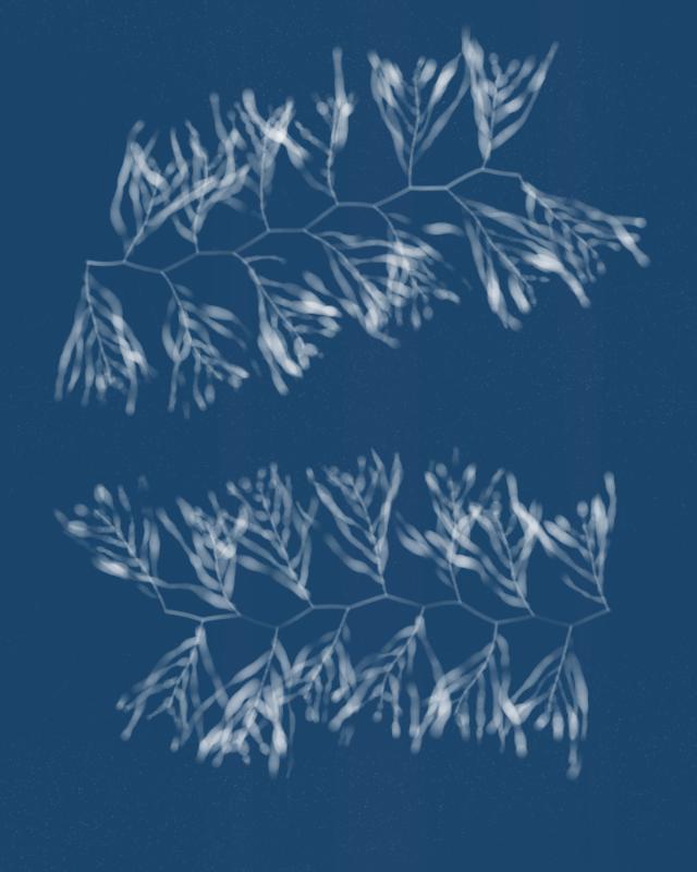 Cyanotypes #262