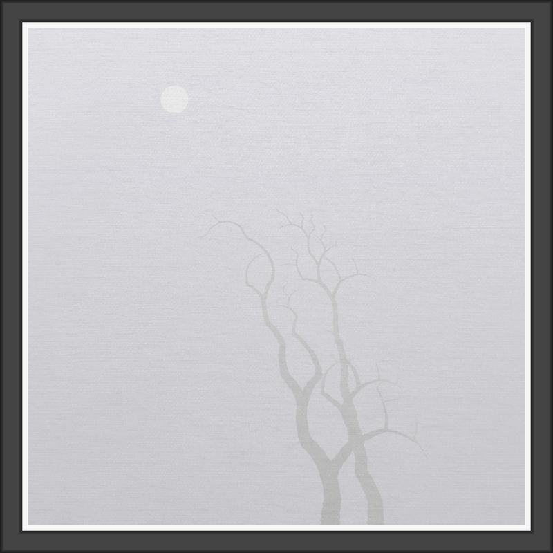 The Foggy Trees #76