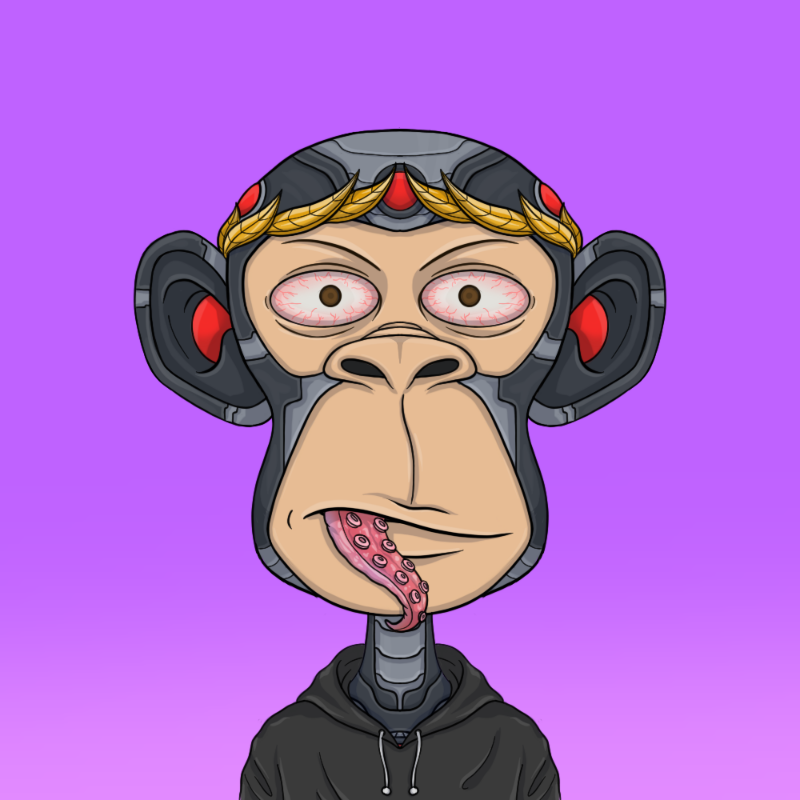 chimpantez #4