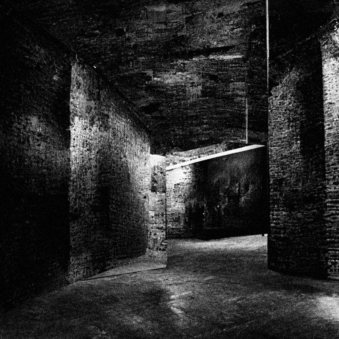 Liminal Newberry #146