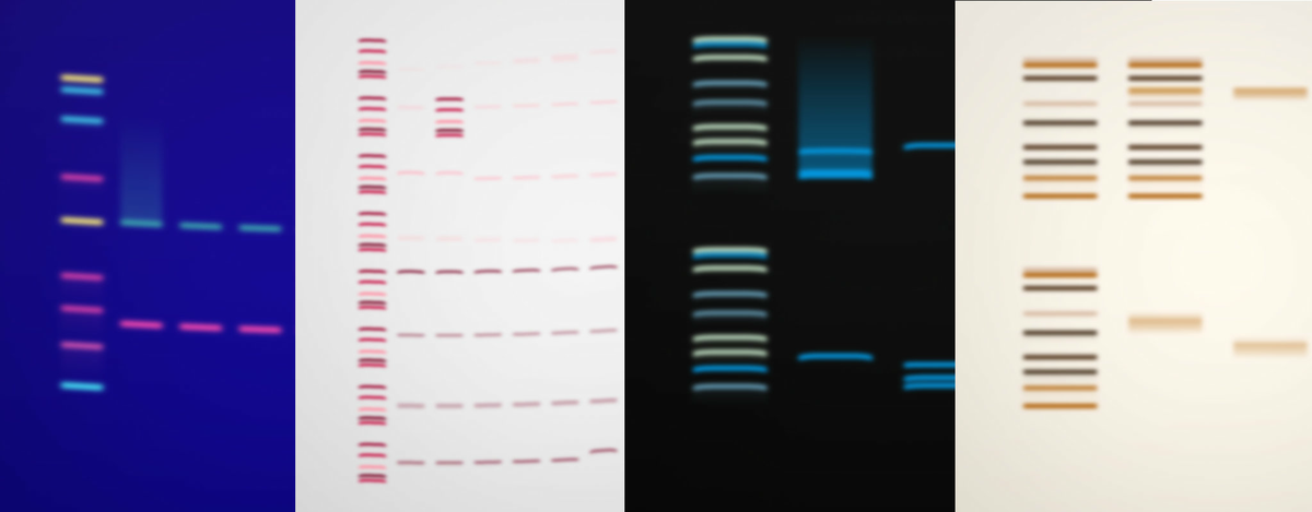 Bytes and Blots