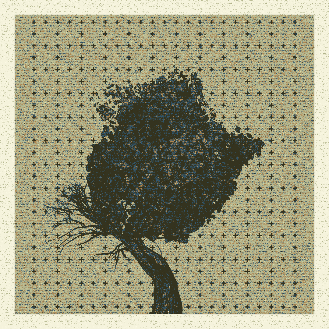 _argania[primaria] #158