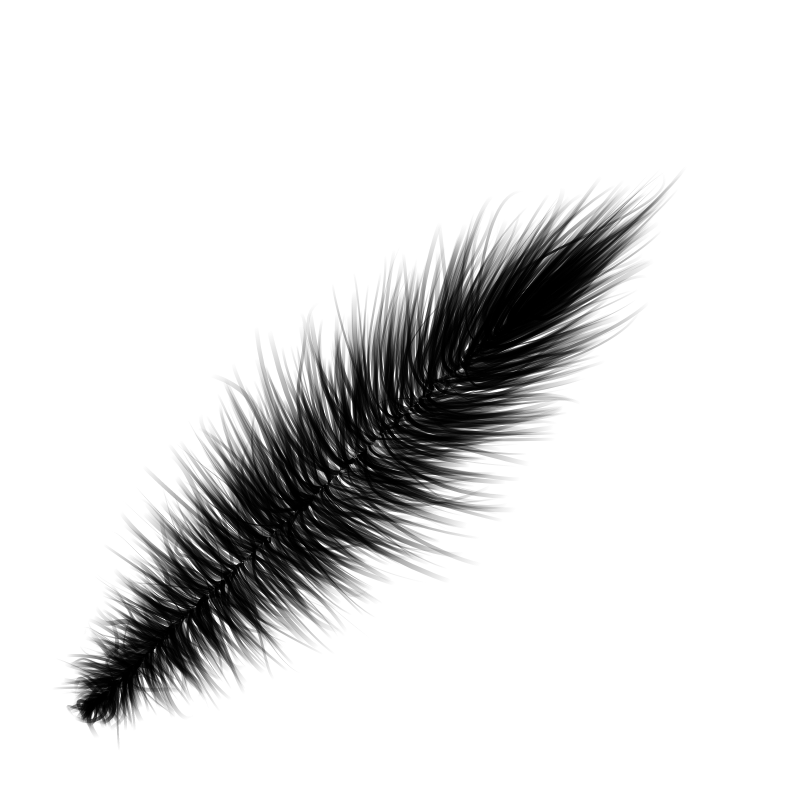 Random Feather #3