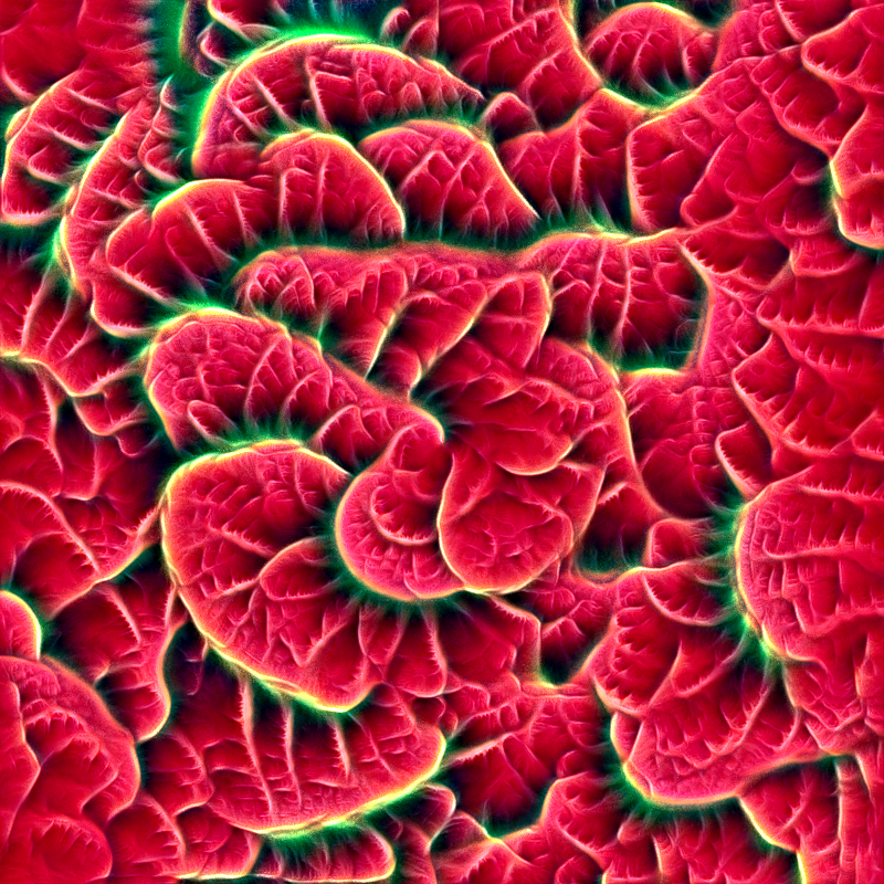 Genomes #2561