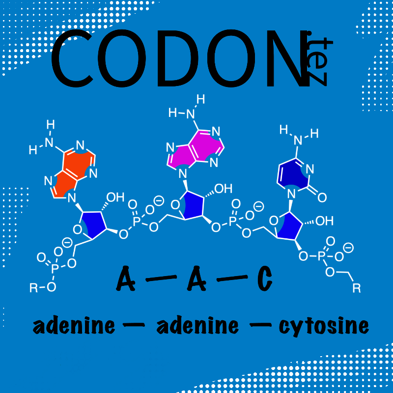 Codon Minter #9