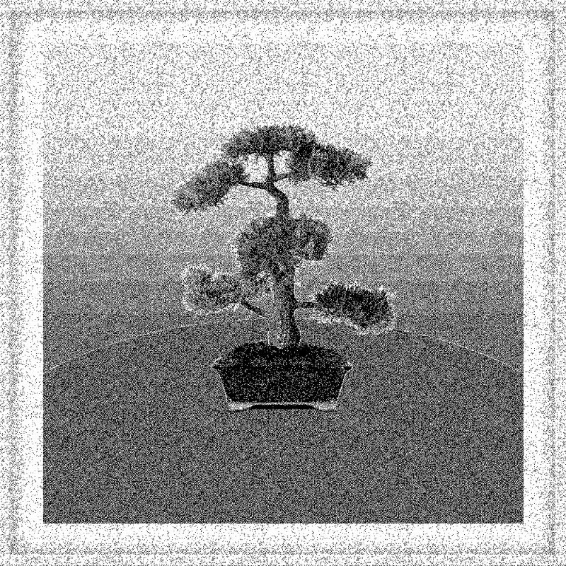 Bonsai Bonanza #199