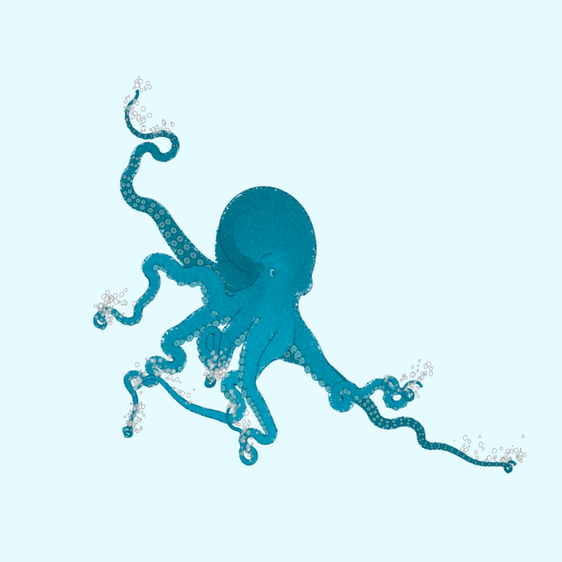 Octopi (p5) : r/generative