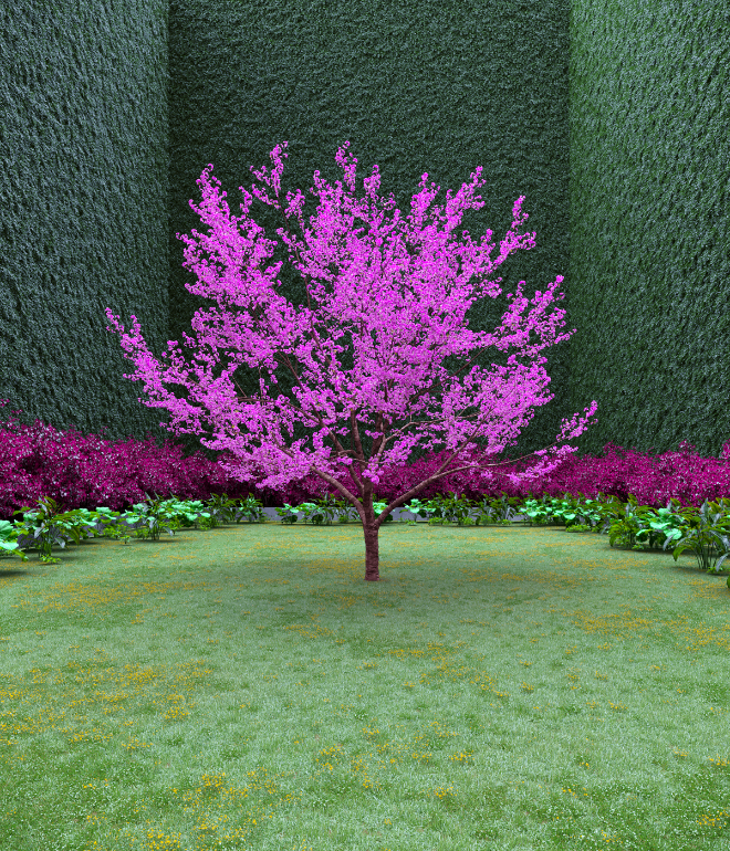 Garden of Imagination #79