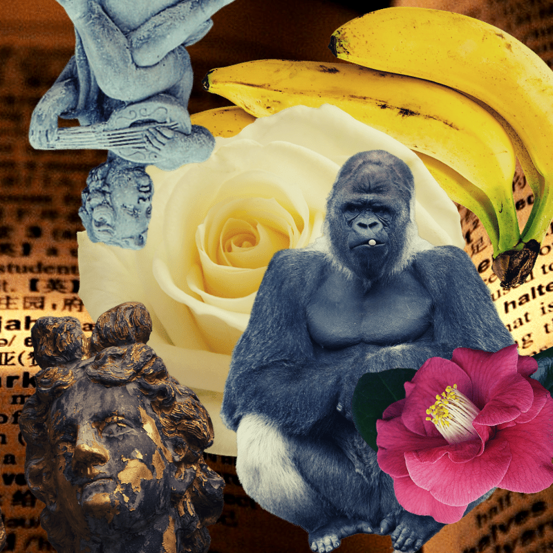 Banana flower #18
