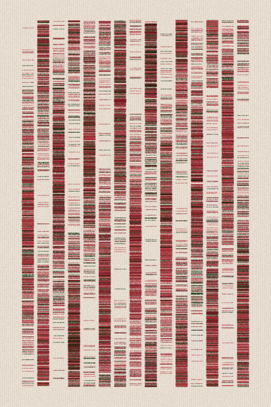 Sequence #465