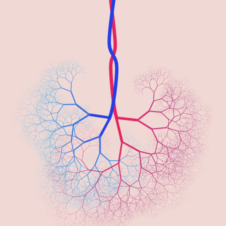 capillary trees #7