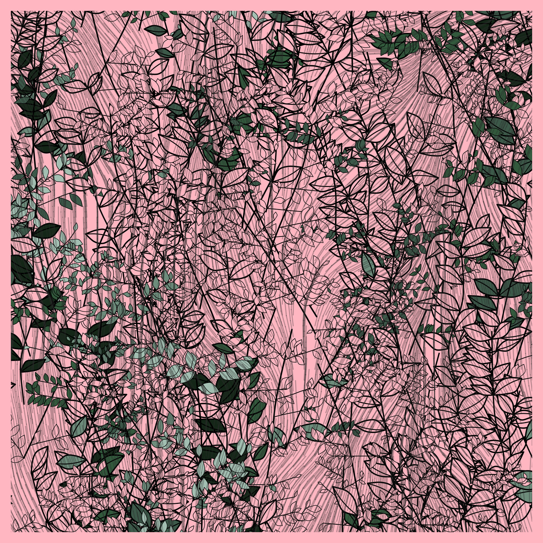 Random Plants #242