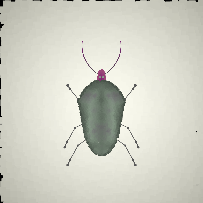 Beetle Sketches #26