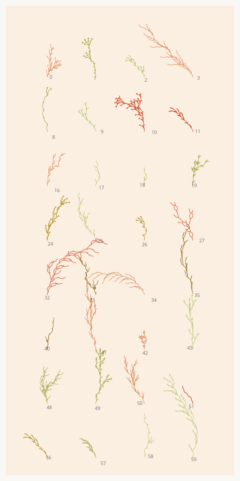 Seaweed Study #1