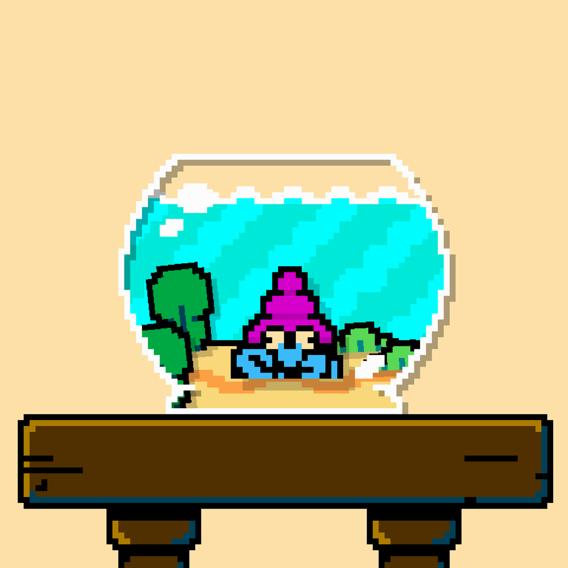 hermit crab #169