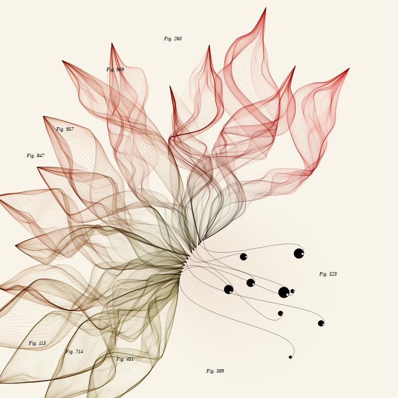 Herbarium #856