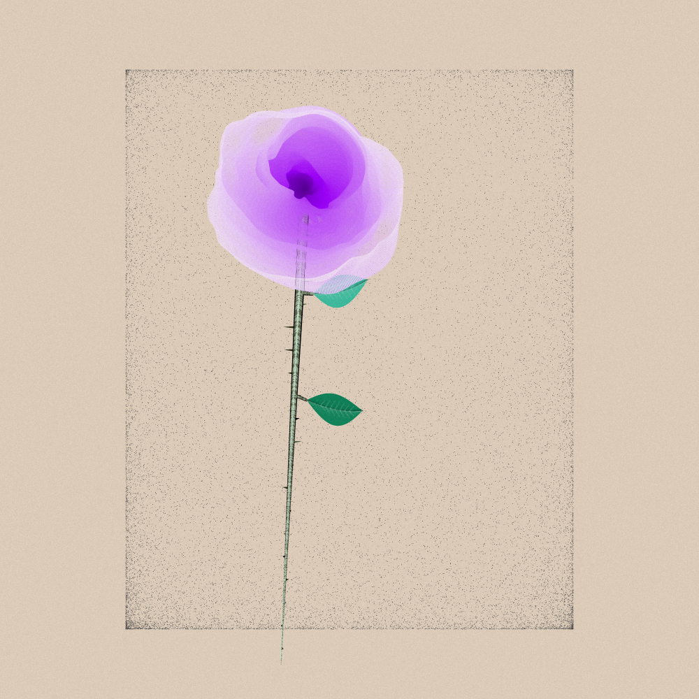 Magnolia #29