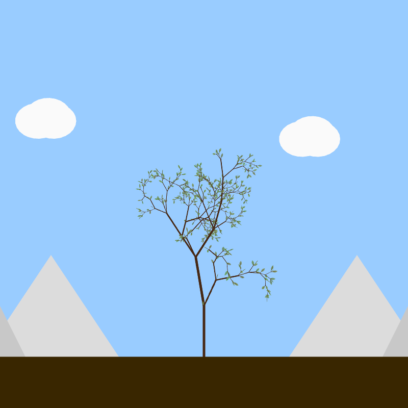 From seedling to tree #8